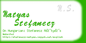 matyas stefanecz business card